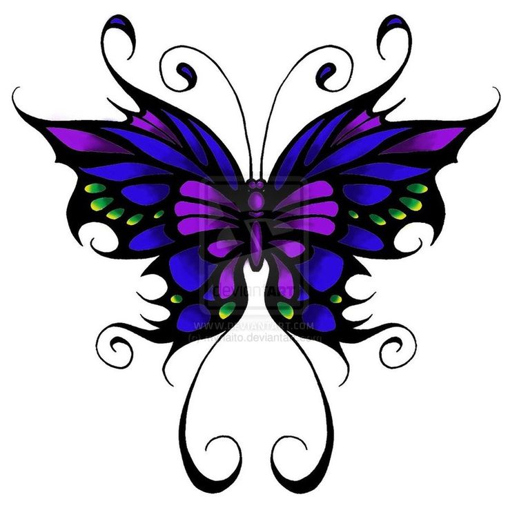 Butterfly Wing Outline | Free download on ClipArtMag