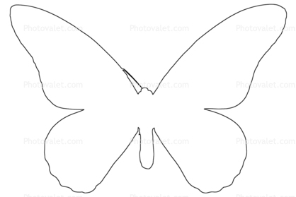 418x279 Outline Of A Butterfly