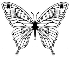 236x194 Stock Photos Butterfly Outline. Image 58843683 Zenspiration