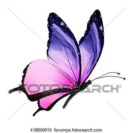 450x447 Butterfly Wings Illustrations And Clip Art. 32,012 Butterfly Wings