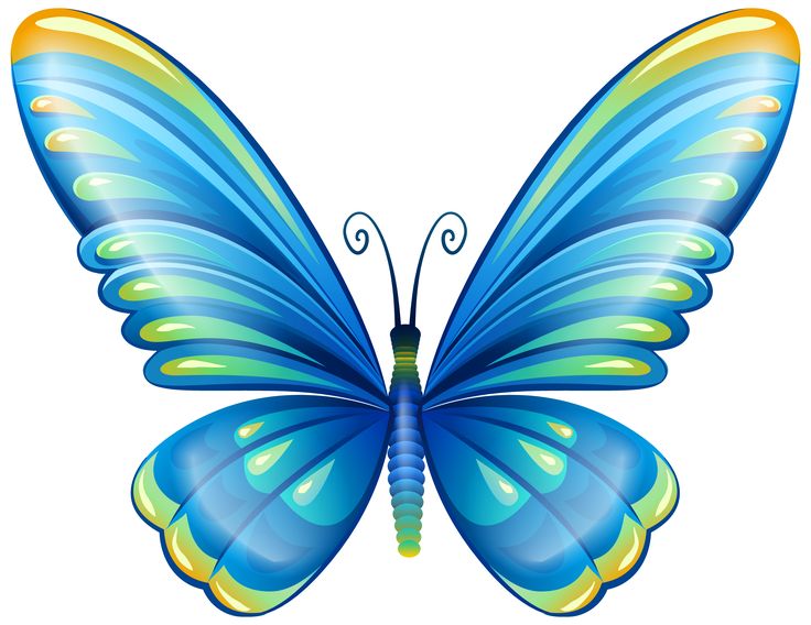 736x568 Large Art Blue Butterfly Png Clip Art Image Butterfly'S