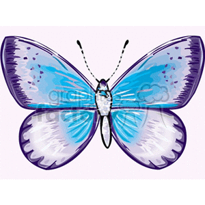 300x300 Royalty Free Butterfly With Purple And Blue Wings 130773 Vector