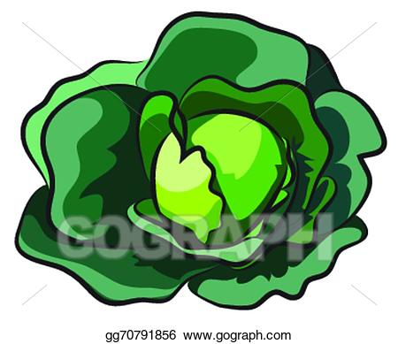 450x389 Cabbage Clipart Fresh
