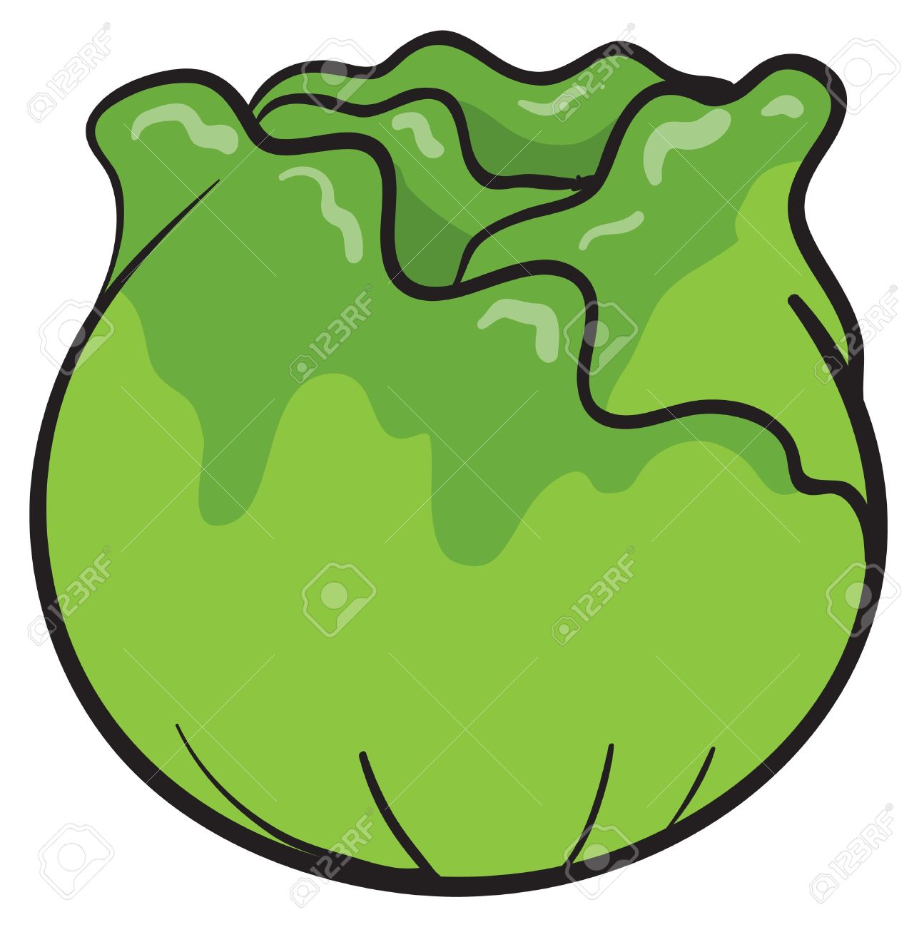 1288x1300 Cabbage Clipart Animated