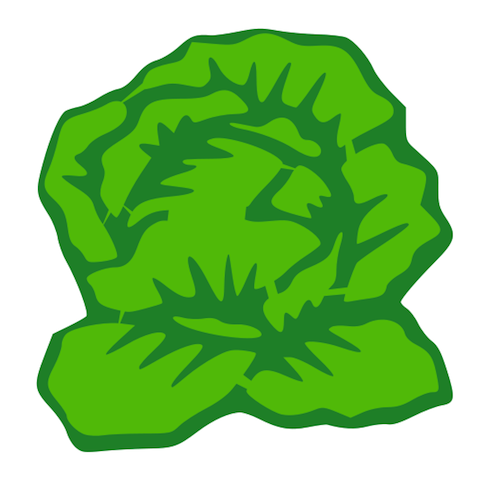 497x480 Cabbage Clipart Lettuce Leaf