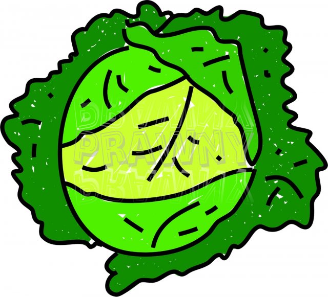 640x581 Cabbage Food Clipart, Explore Pictures