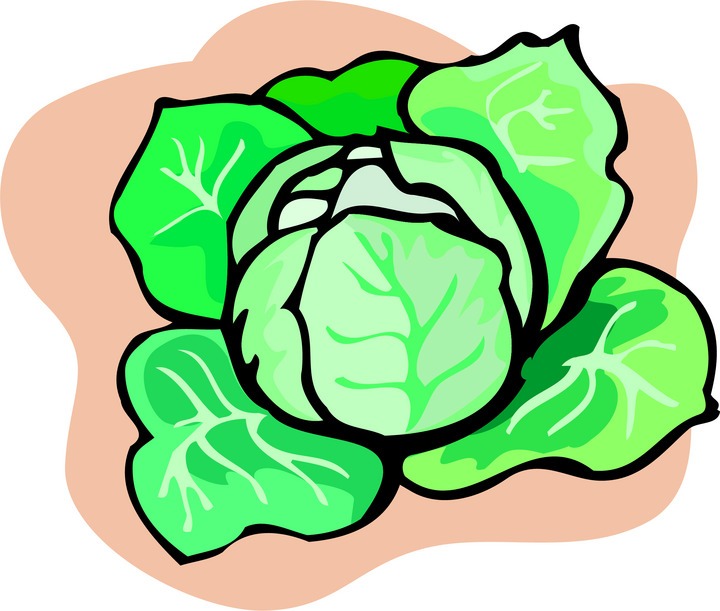 720x611 Corned Beef And Cabbage Clip Art Cliparts