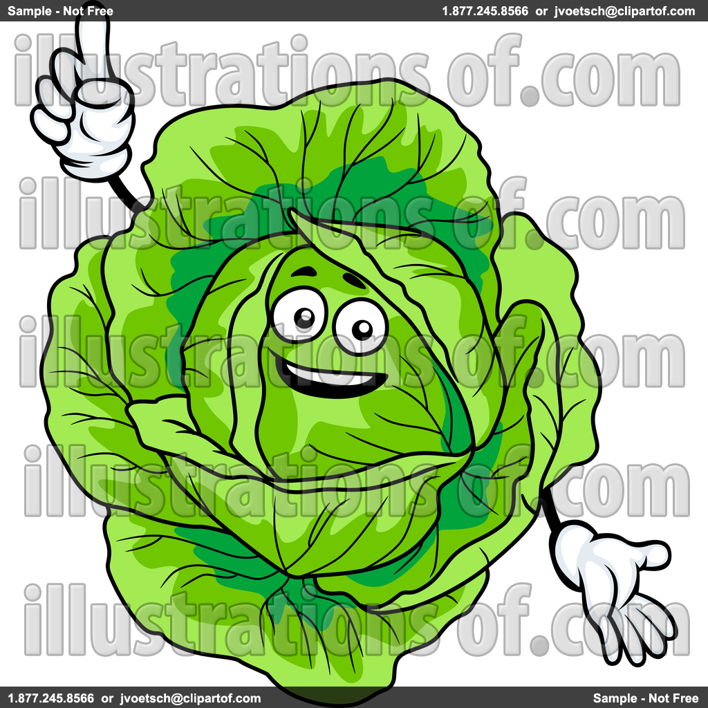 1024x1024 Czeshop Images Cabbage Clip Art