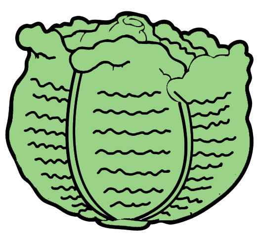 522x482 Free Cabbage Clipart