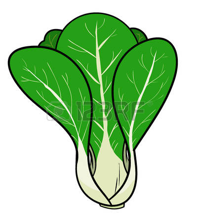 403x450 Vegetable Clipart Cabbage