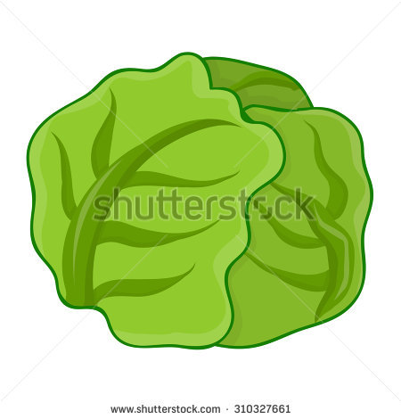 450x470 Blood Cabbage Rose Clipart