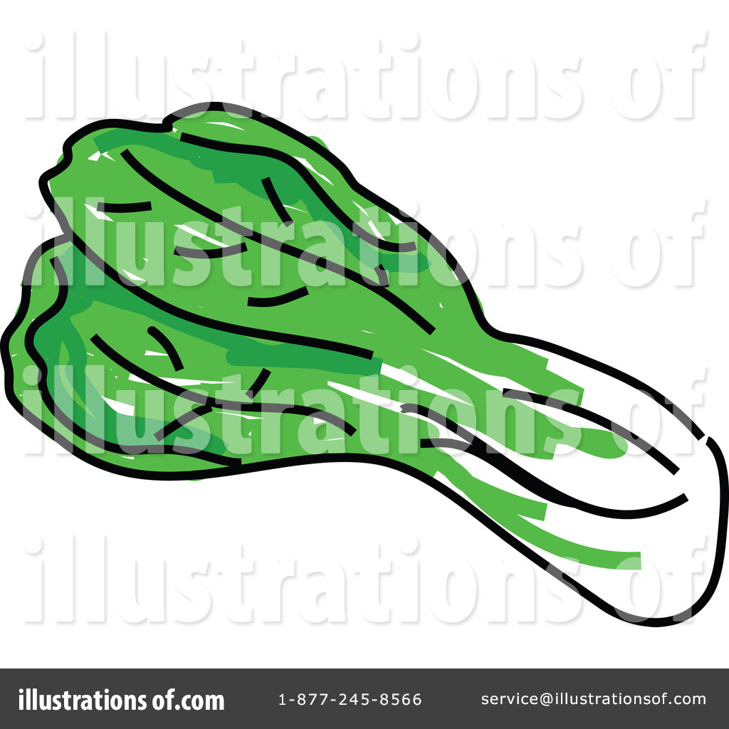 1024x1024 Cabbage Clipart