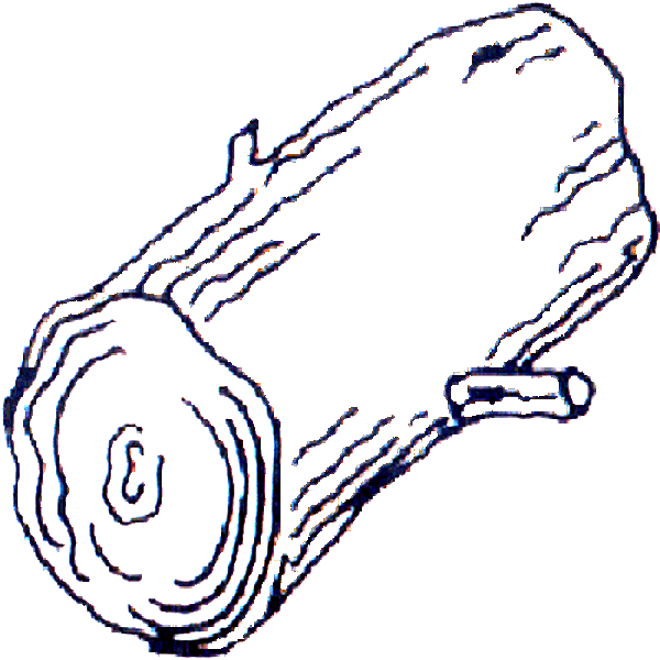 600x600 Log Coloring Sheet Page Clipart Panda Images