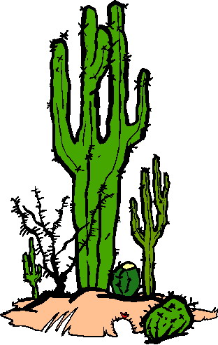 312x492 Cactus Clip Art 6 Clipartix