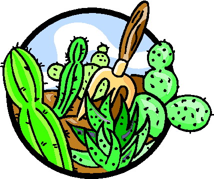 428x358 Cactus Clip Art 12