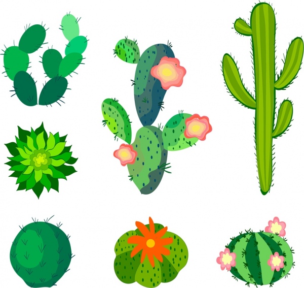 600x567 Cactus Free Vector Download (111 Free Vector) For Commercial Use