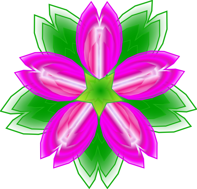 800x768 Graphics For Cactus Flower Graphics