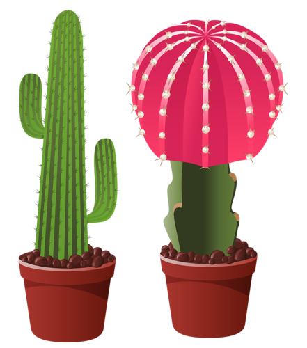 441x500 Objects, Elements And Food 2.png ~ Plants ~ Barbie