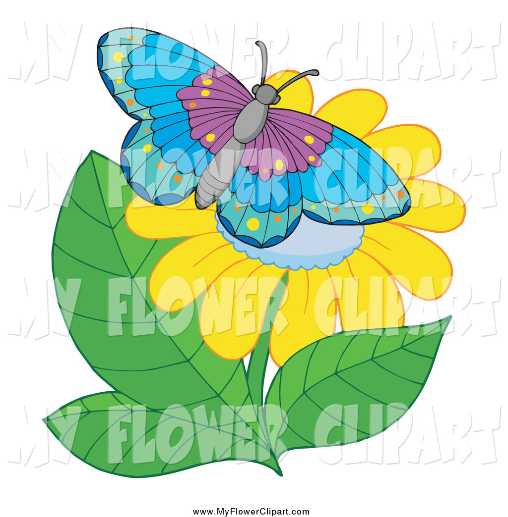 1024x1044 Royalty Free Butterfly Stock Flower Designs