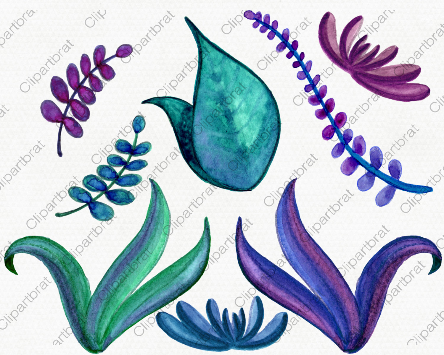 1500x1201 Watercolor Alpaca Clipart Commercial Use Clipart 18 Elements