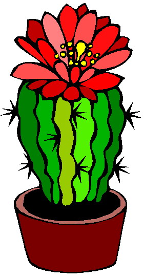 281x545 Cactus Clipart Free Clipart Images
