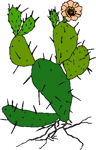 314x489 Free Cactus Clipart Clip Art Pictures Graphics Illustrations 2
