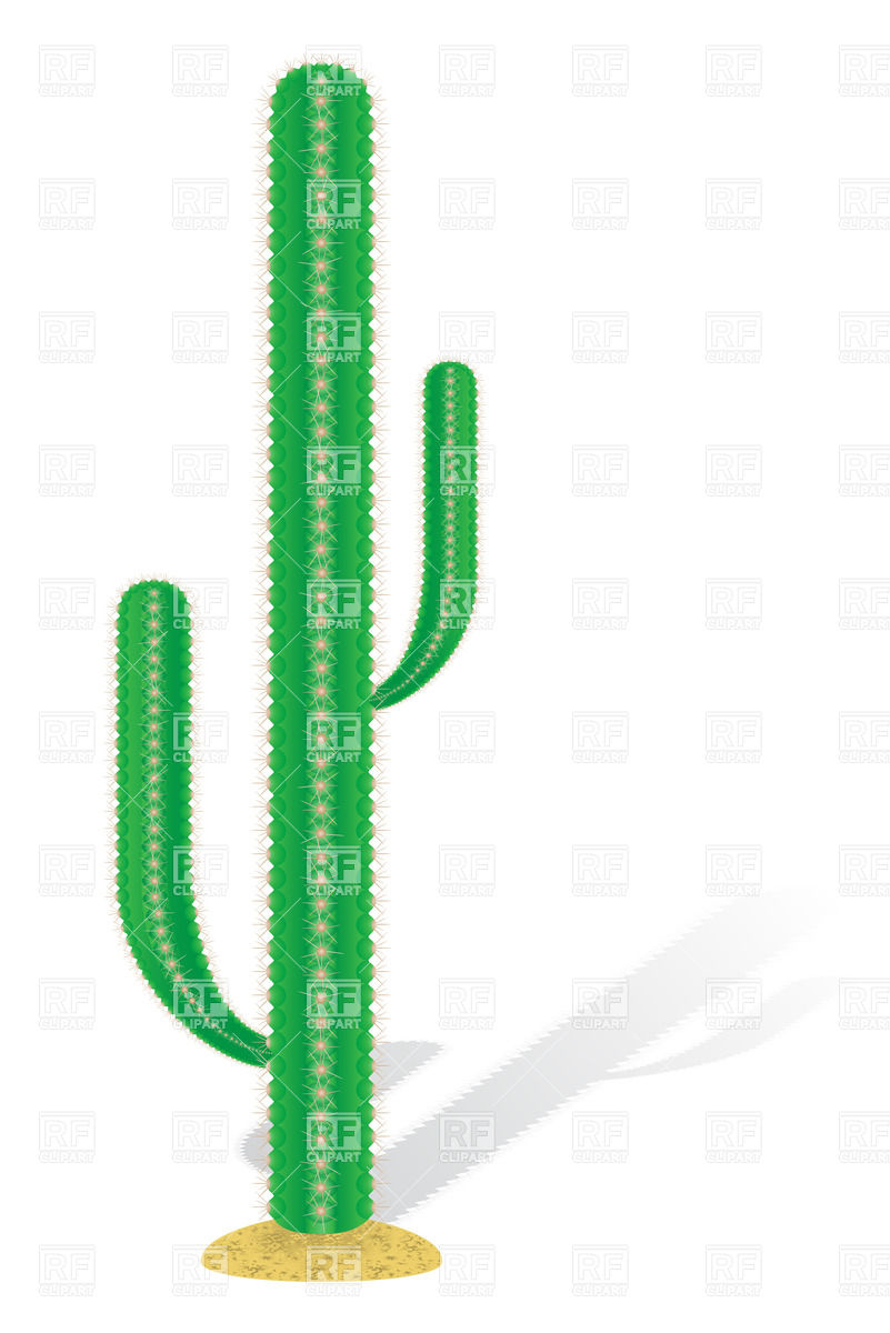 801x1200 Mexican Cactus Royalty Free Vector Clip Art Image