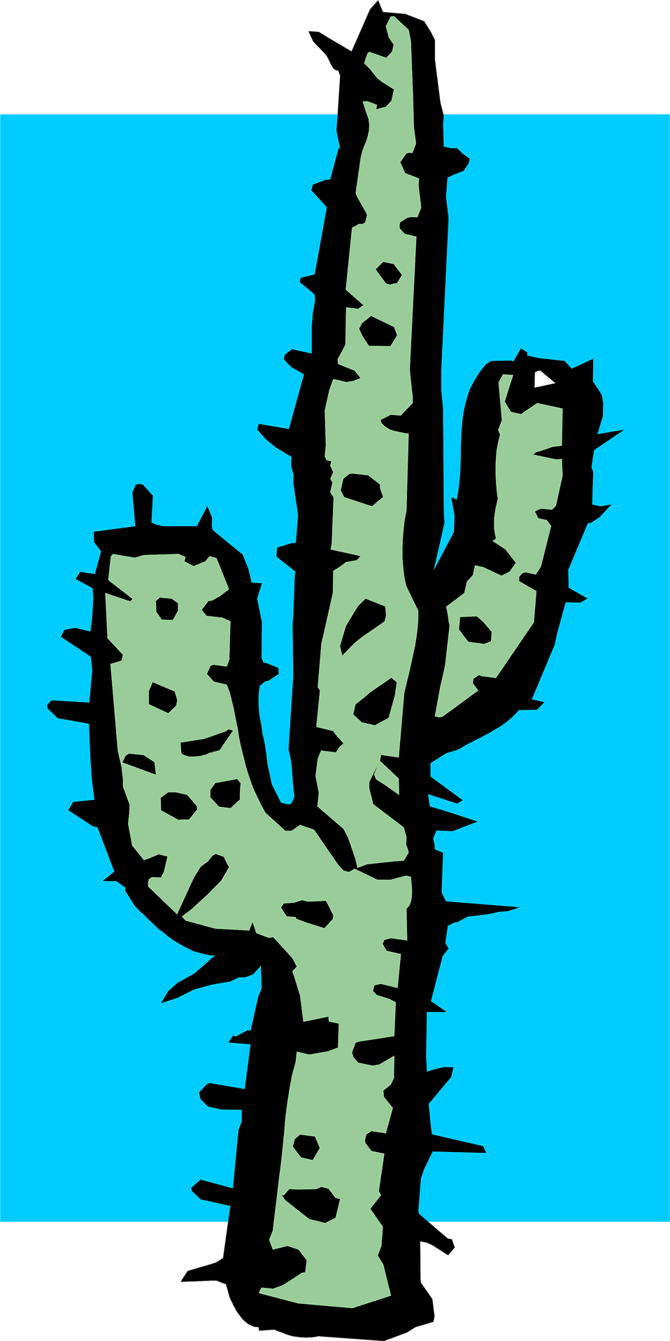 958x1916 Cactus Free Stock Photo Illustration Of A Tall Cactus