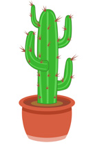 135x210 Cactus Clip Art Inderecami Drawing