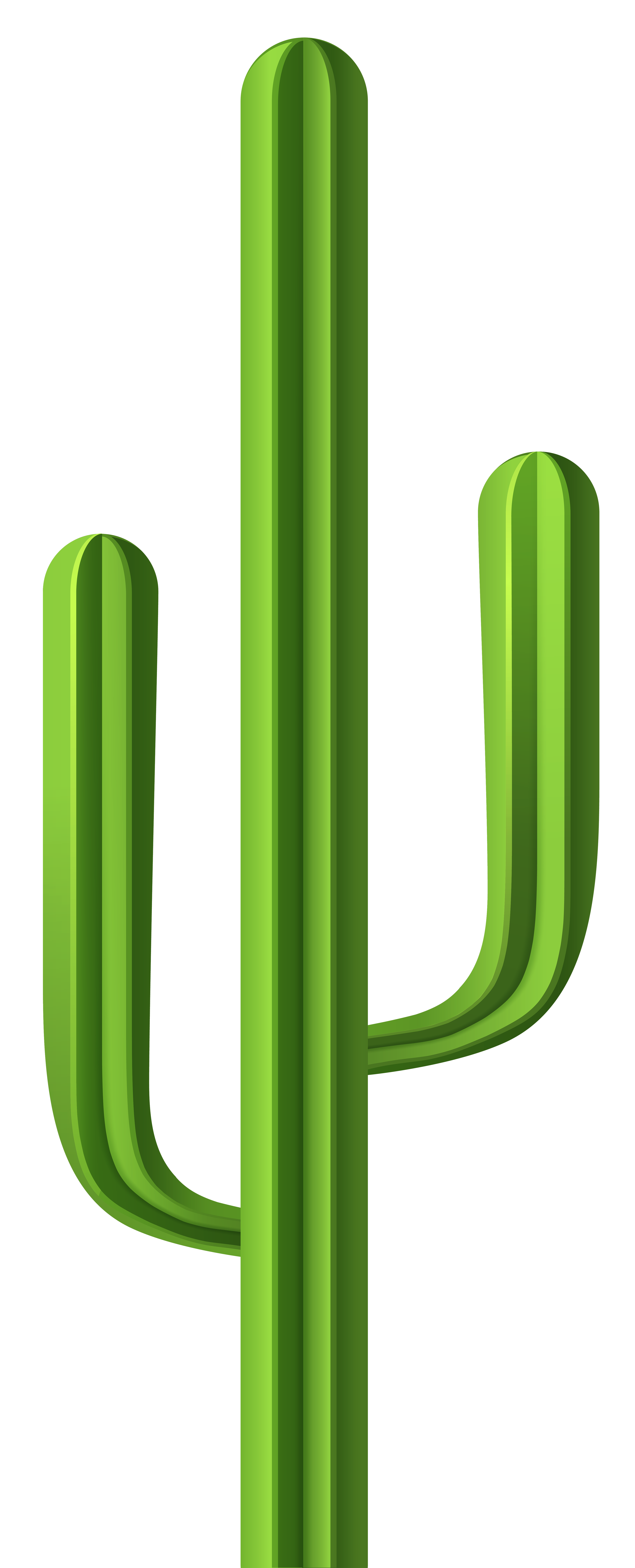 3242x8000 Cactus Png Clip Art Imageu200b Gallery Yopriceville