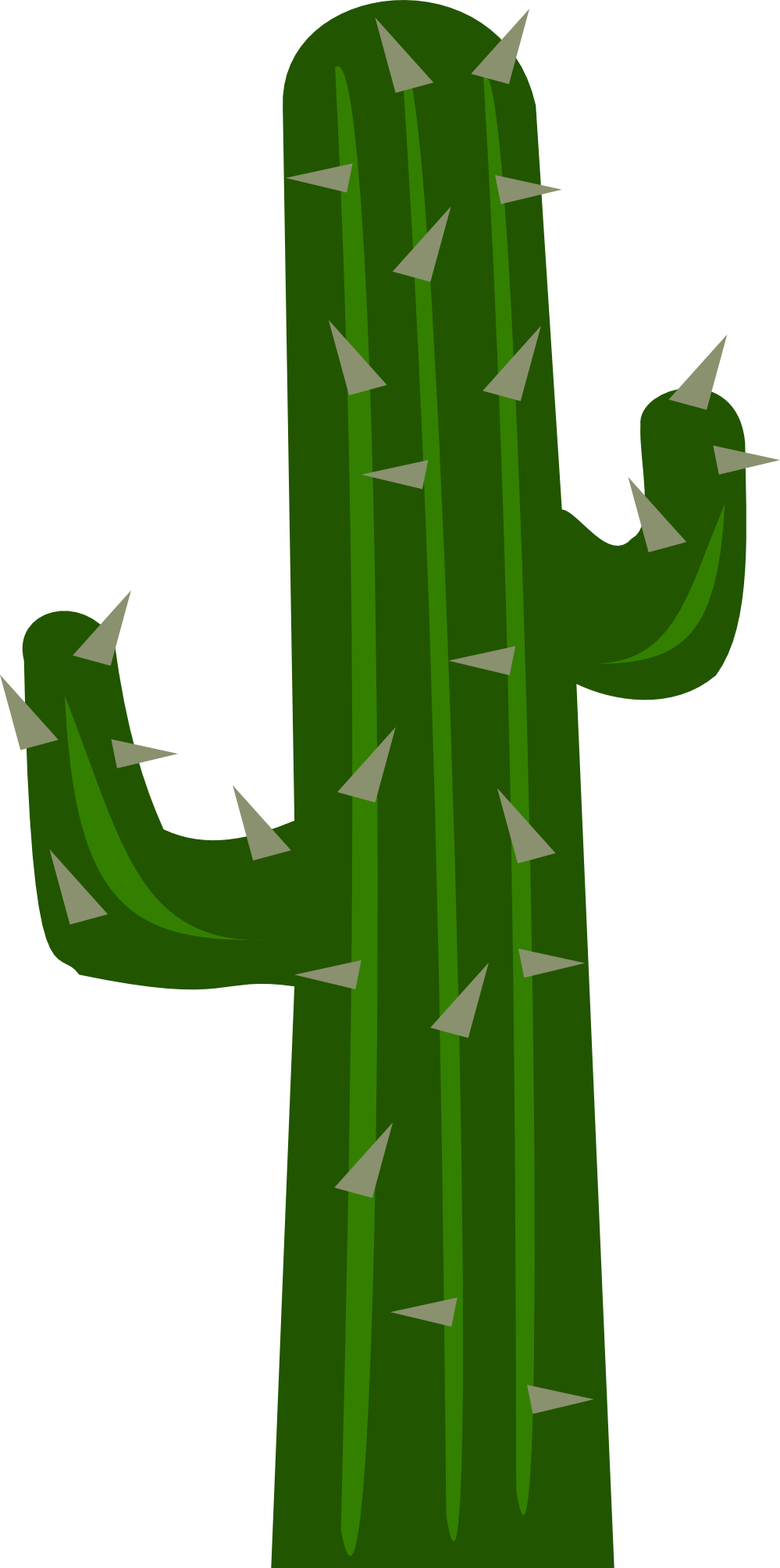 999x2008 Cactus Clipart Transparent