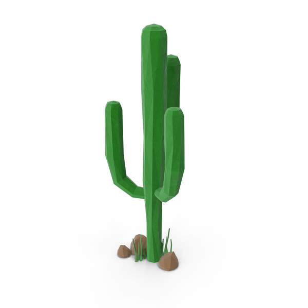 600x600 Cactus With Rocks Png Images Amp Psds For Download Pixelsquid