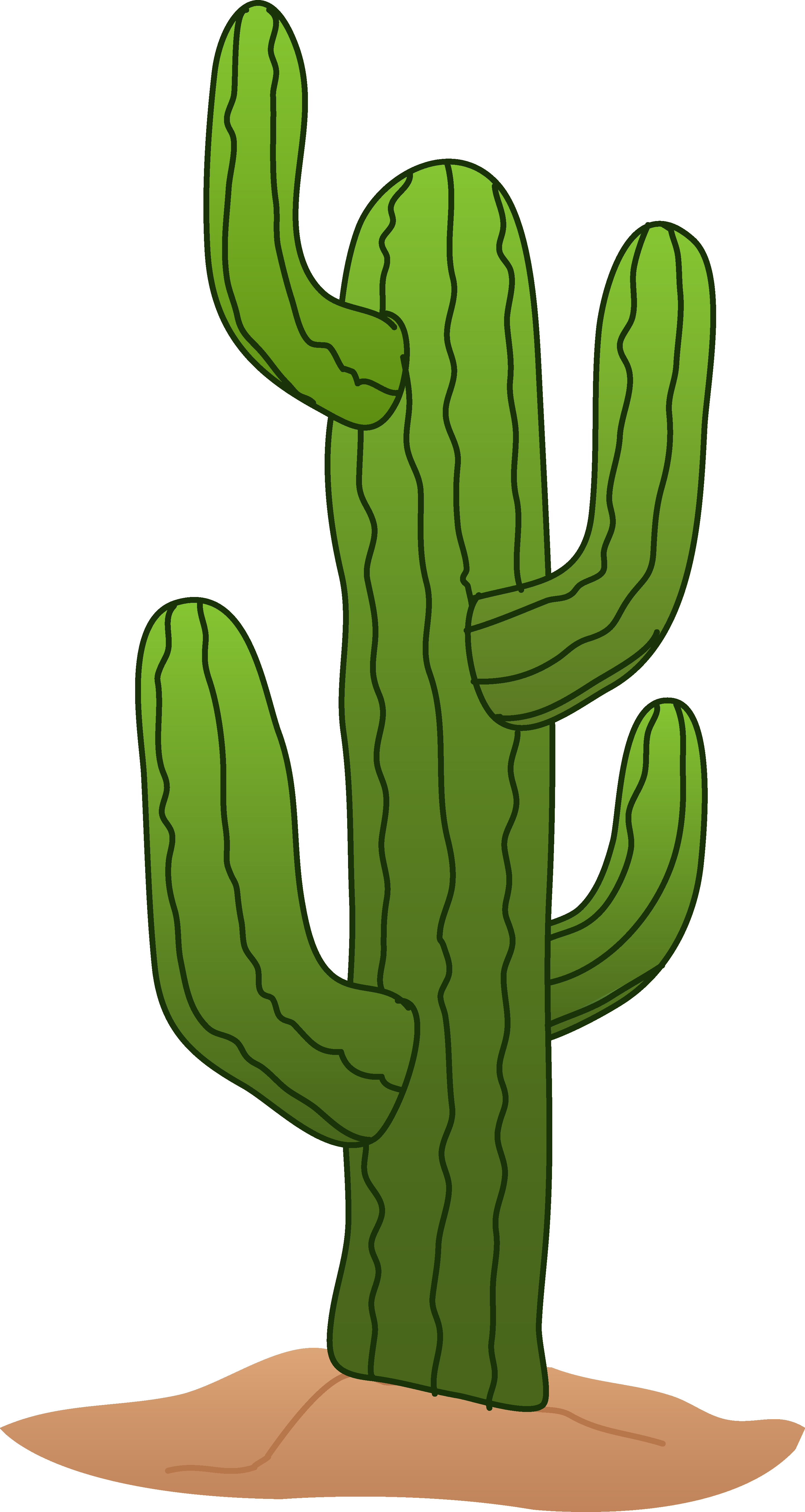 2889x5425 Cactus Clipart Png