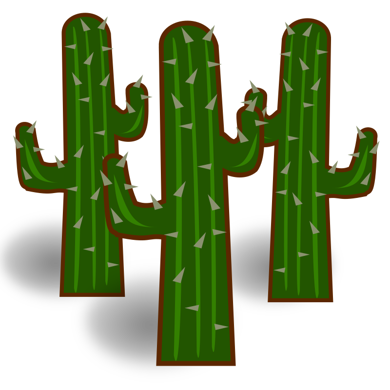 800x800 Cactus Clipart Transparent