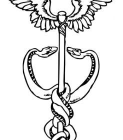 246x280 Caduceus Clip Art Vector Clip Art Free Vector Free Download