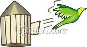 300x163 Cage Clipart Free Bird