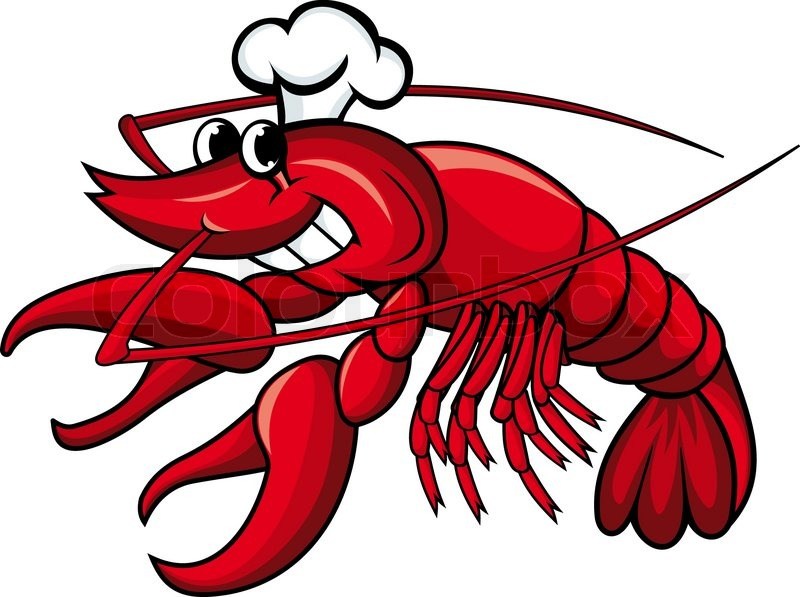 800x597 Shrimp Images Clip Art