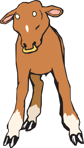 336x594 Calf With Nose Ring Png, Svg Clip Art For Web