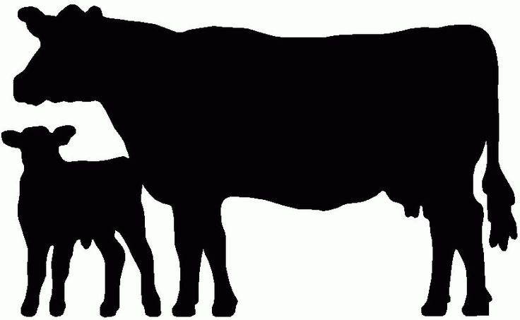 736x453 Cow Calf Pair Clip Art