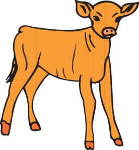 276x298 Orange Calf Clip Art