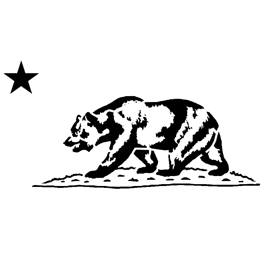 853x852 California Bear Outline