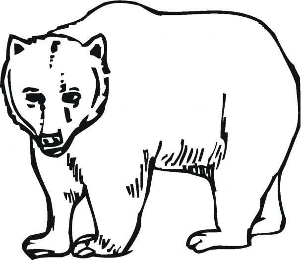 607x525 Bear Coloring Pages (1)
