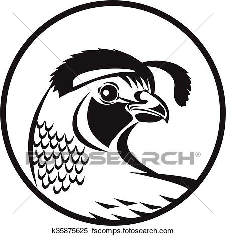 450x470 Clipart Of California Valley Quail Circle Black And White