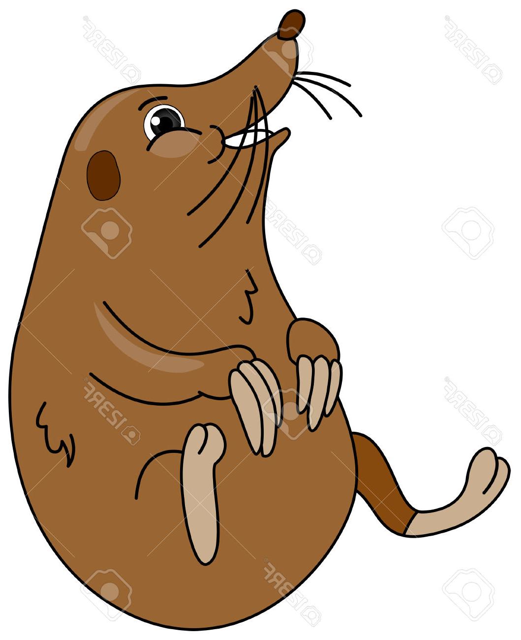 1059x1300 Top 10 Mole Clip Art Design