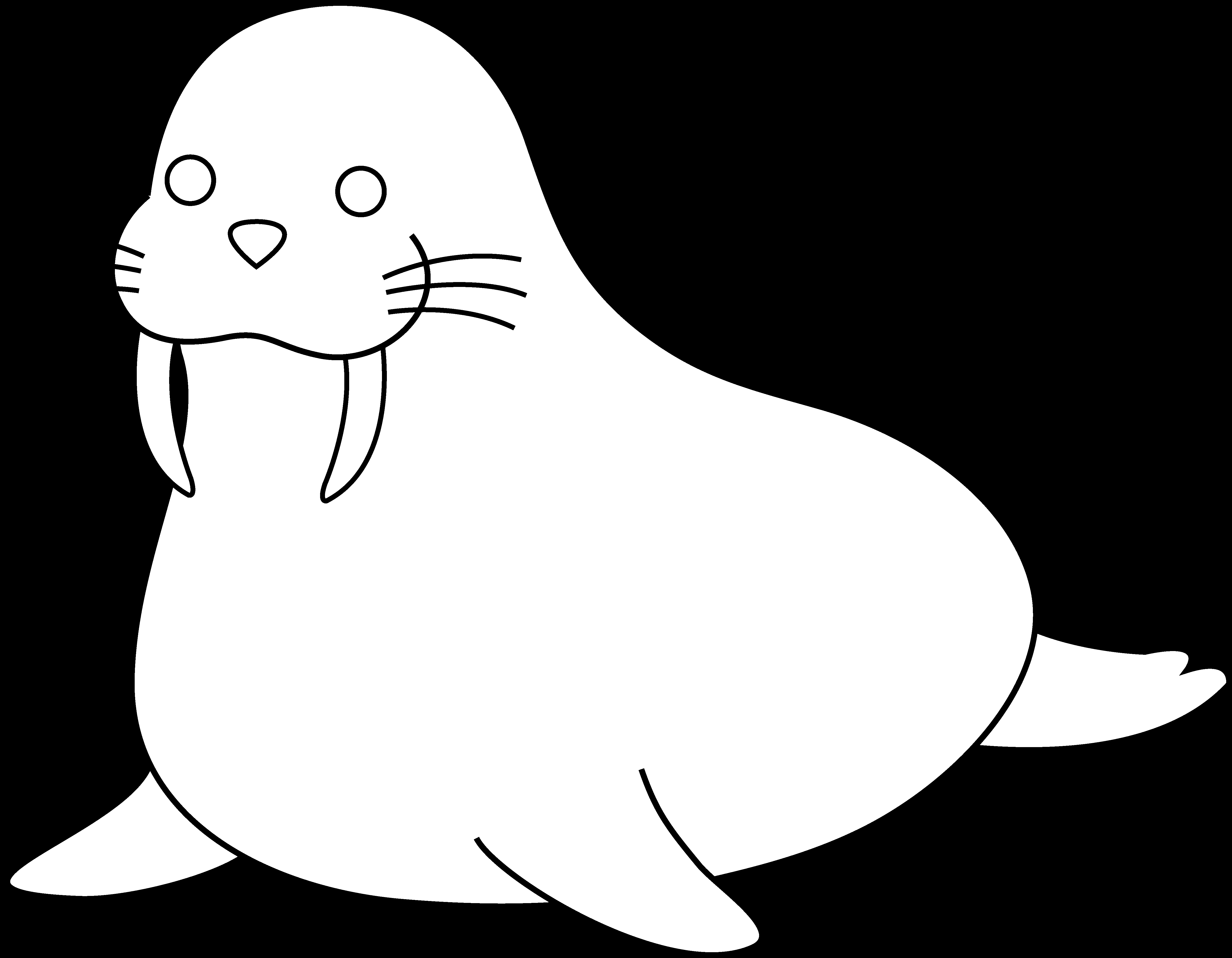 5296x4120 Walrus Clipart Outline