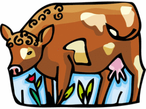 300x225 Download Cow Clip Art ~ Free Clipart Of Cows Cute Calfs, Bulls Amp More