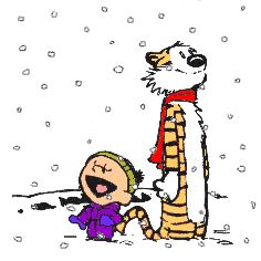 236x236 76 Best Calvin And Hobbes Images Cartoons