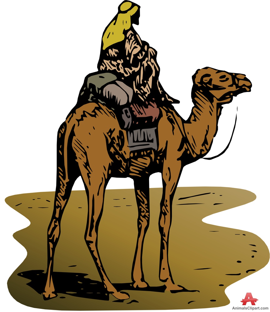 Camel Line Drawing | Free download on ClipArtMag