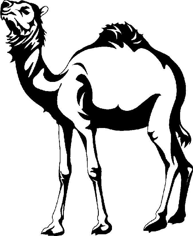 674x824 Camel Clipart Black And White Free Images 3