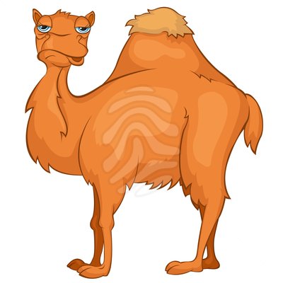 400x400 Camel Clipart Cute